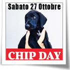 Chip Day